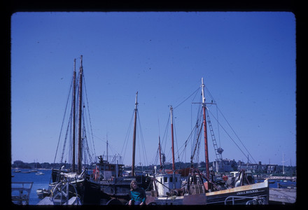 Slide197.jpg